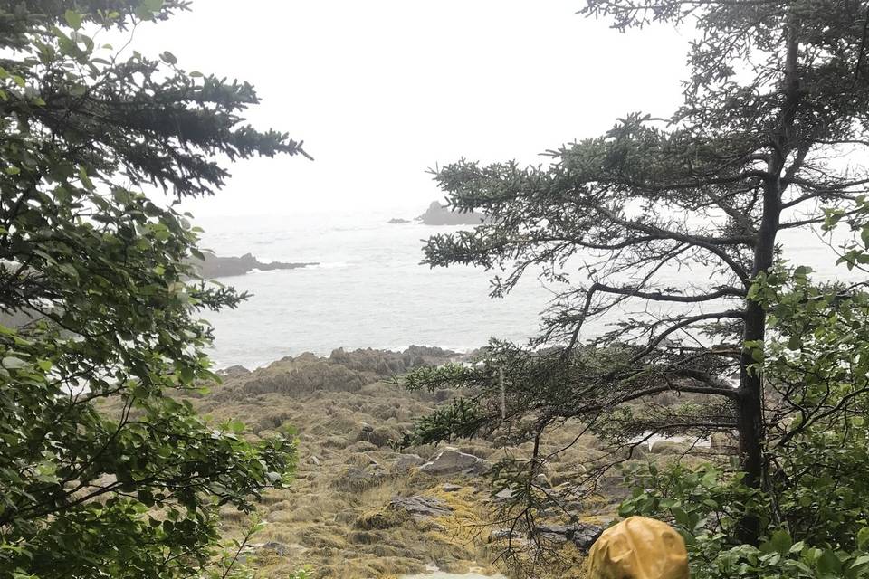 Quoddy Head State Park