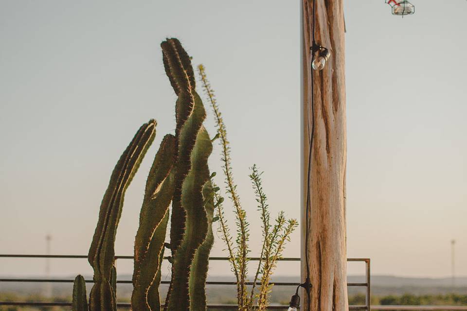 Cactus Moon Lodge