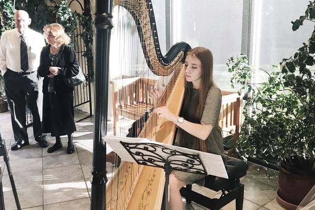 Performing at an indoor wedding reception