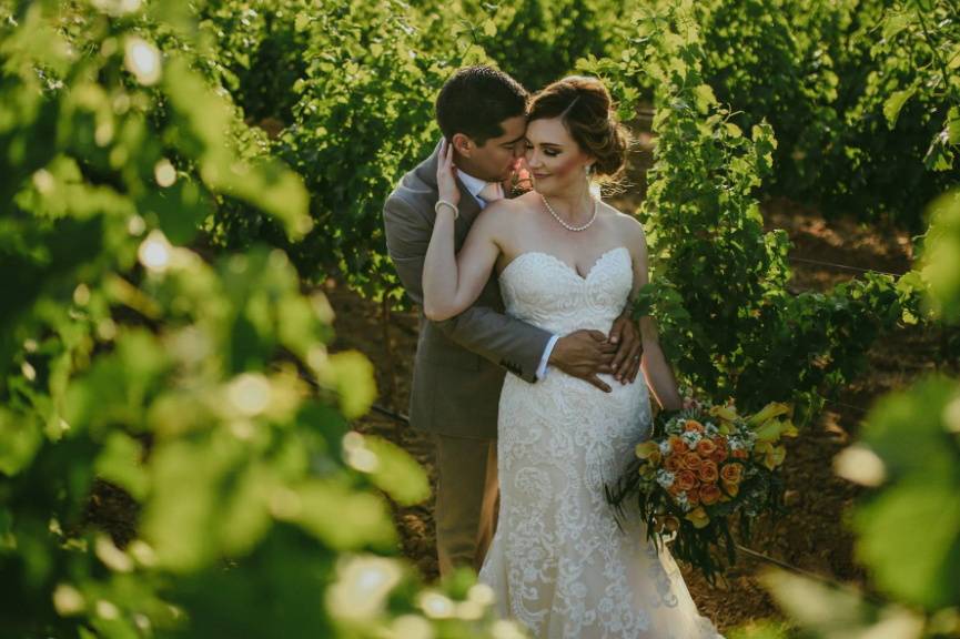 Lovers in the vineyard