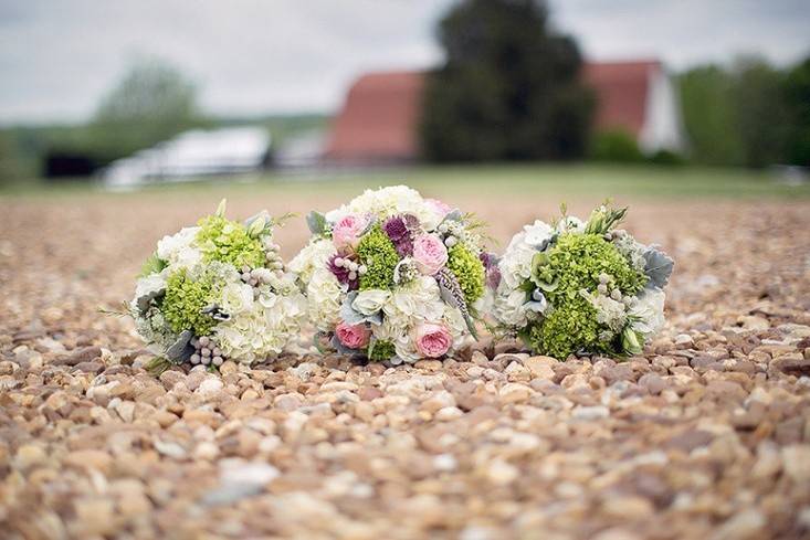 Sweet Meadow Farm and HomePlace