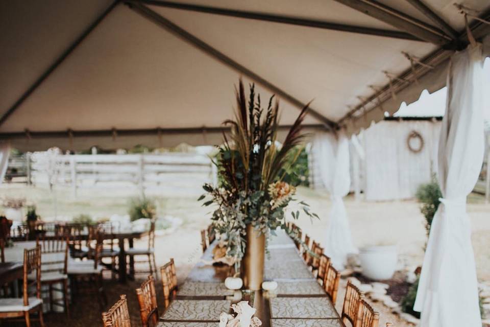 Reception area with tent