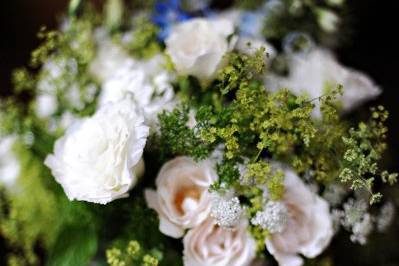 Holly Redmond Photography