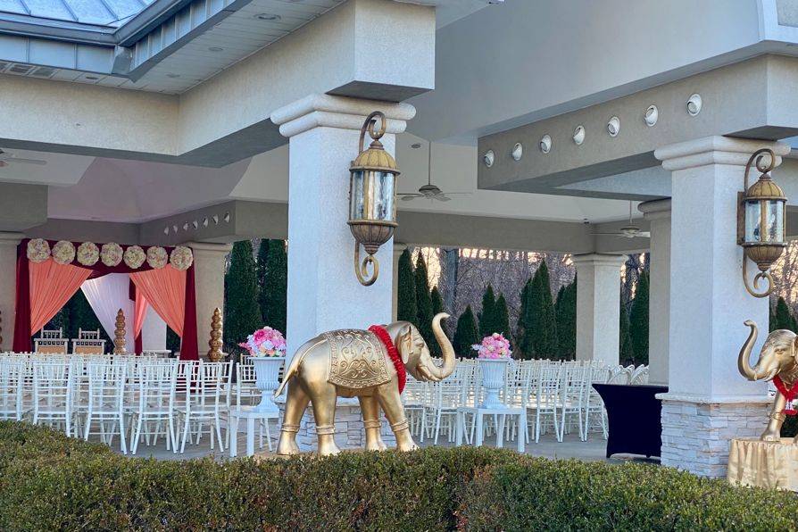 Wedding elephants