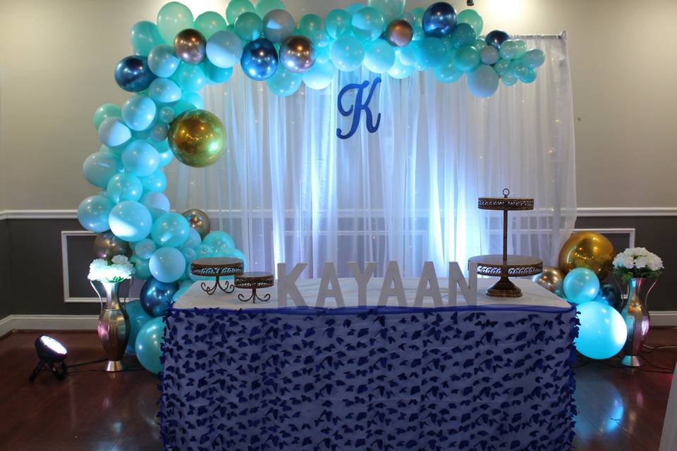 Aqua theme decor