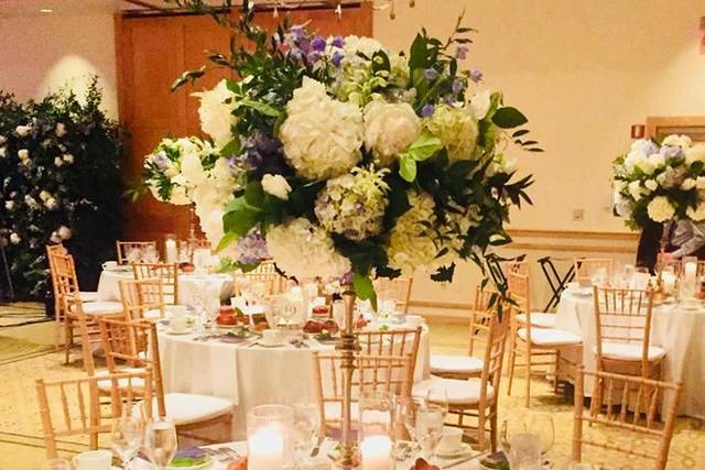 Wedding reception