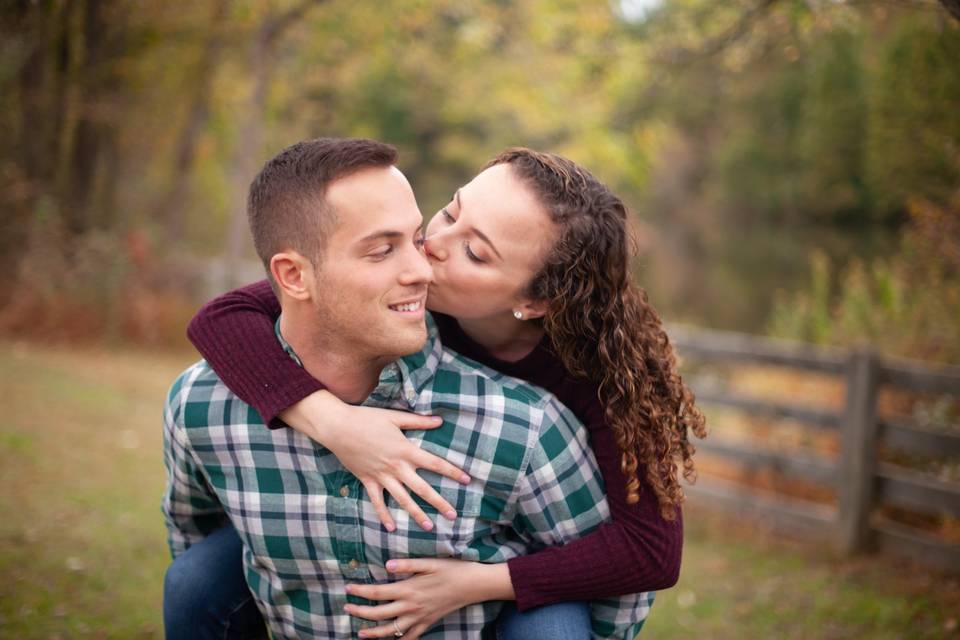 Centennial Park fall proposal