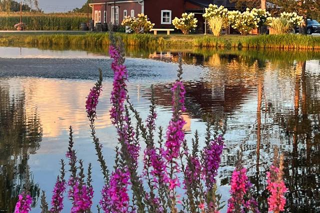 Beautiful setting