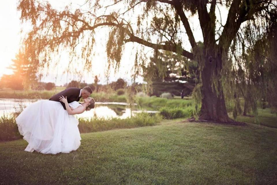 Under the willow