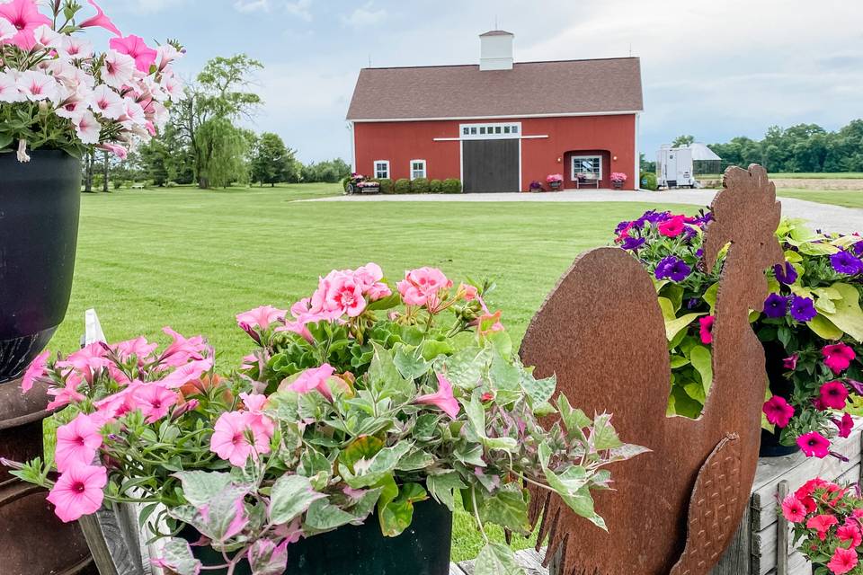 French Hen Farm