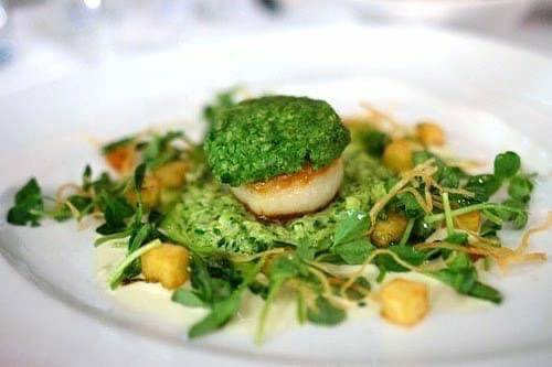 Scallops.Mango.Chimichurri