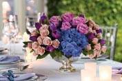 Anita's Petite Fleur Ltd