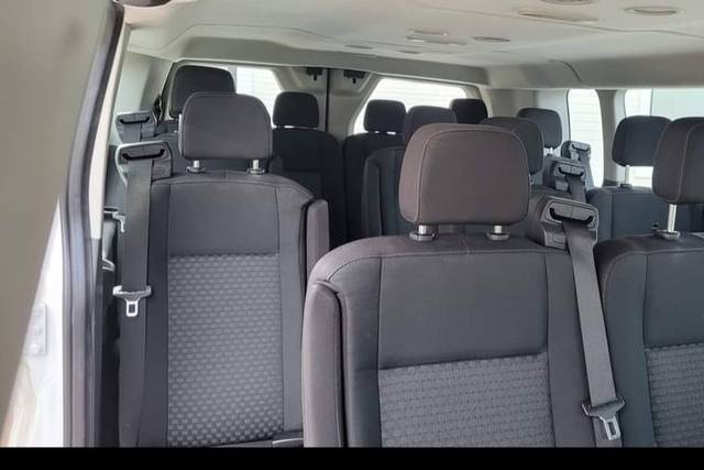 15 passenger van