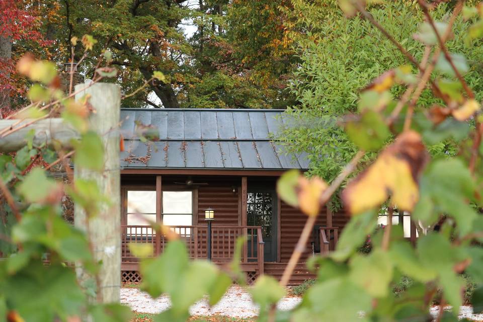 View of cabin through vines