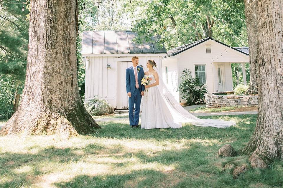First look under the oaks