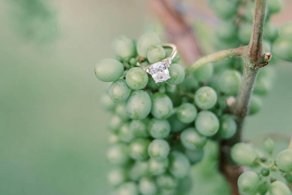 Vineyard Vows