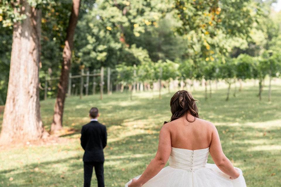 First look by the vines