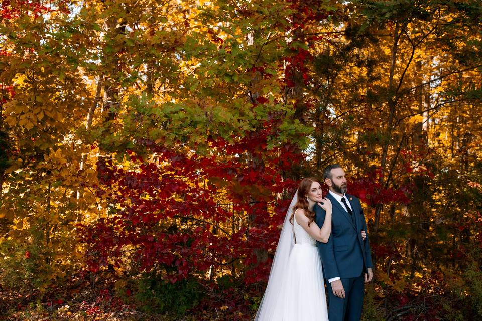 Fall foliage