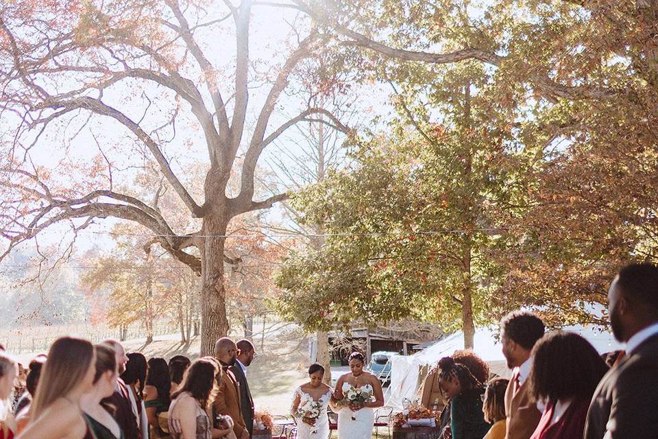 Ceremony under the oaks