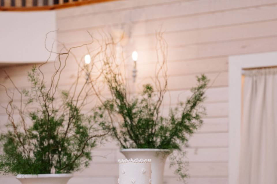 White Eyelet