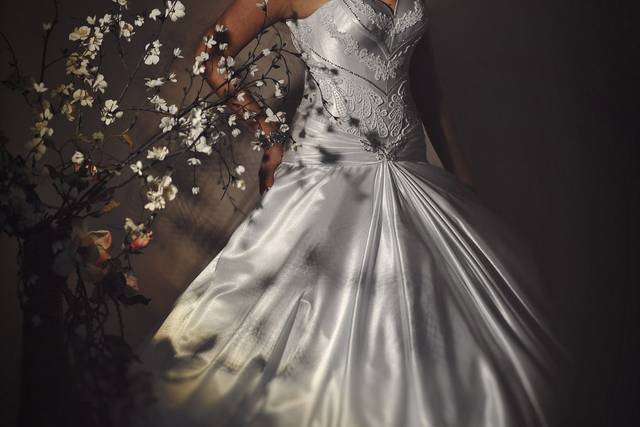 Alexander Zitser Photography LLC