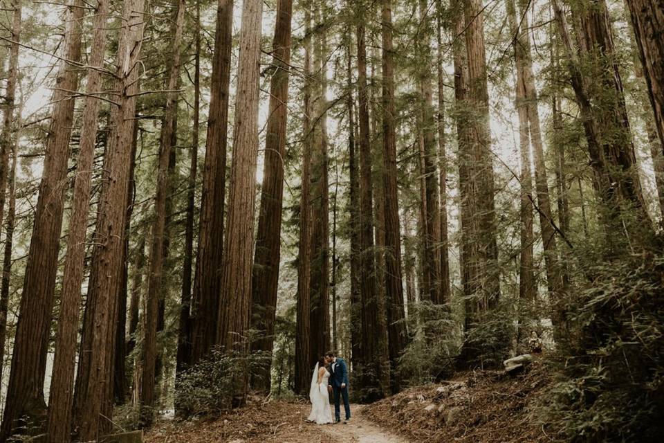 Big Sur Micro-Wedding