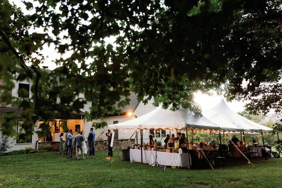 Backyard reception