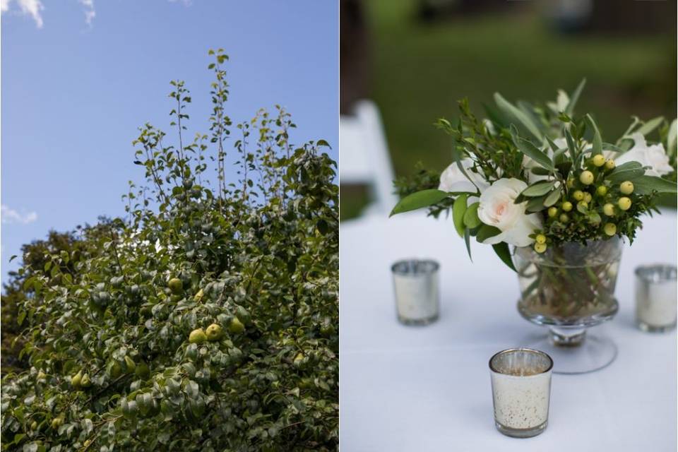 Sweethaven Farm & Flowers