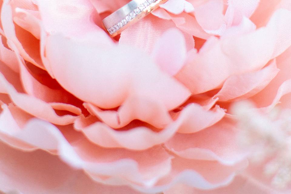 Addiesphotography.com