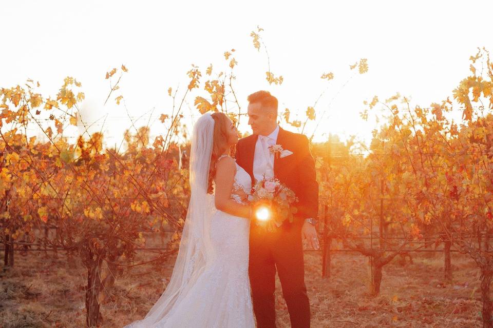 Addiesphotography.com