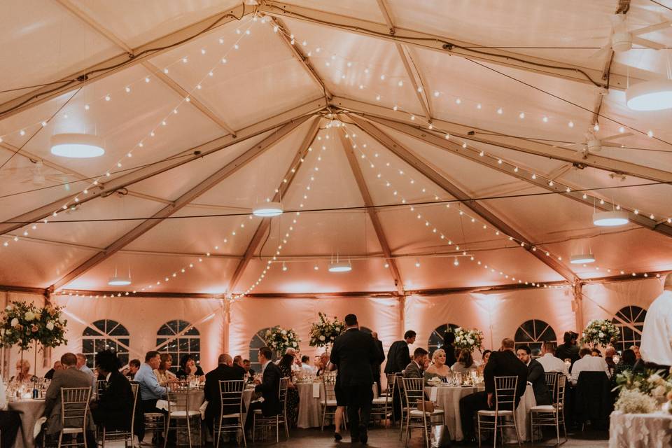 Uplighting under Tent