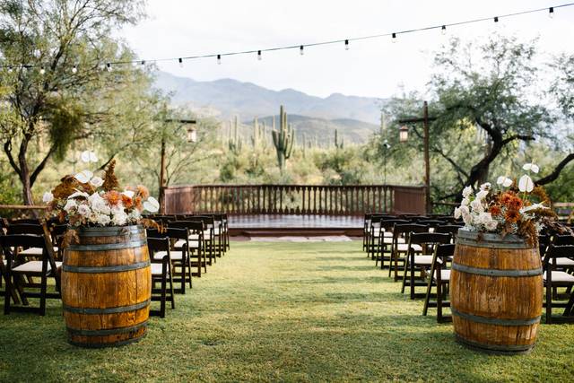 Cactus View Lawn