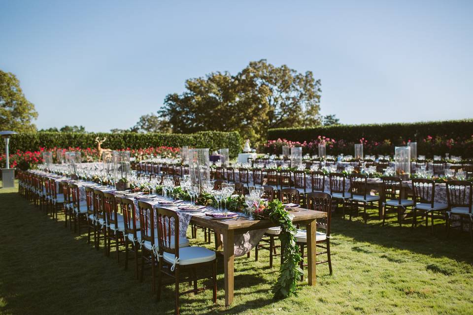 Long table setting