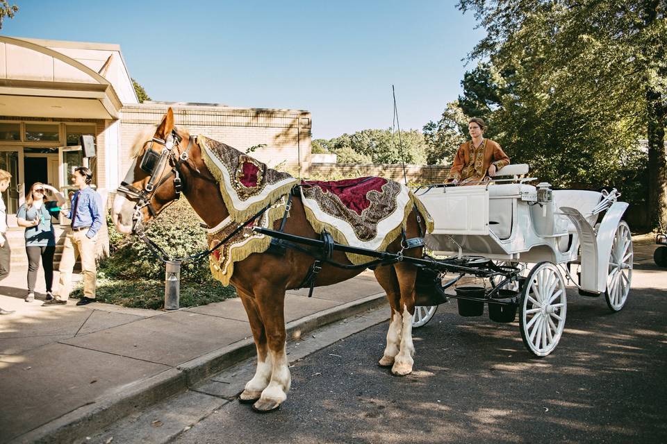 Horse and carriage