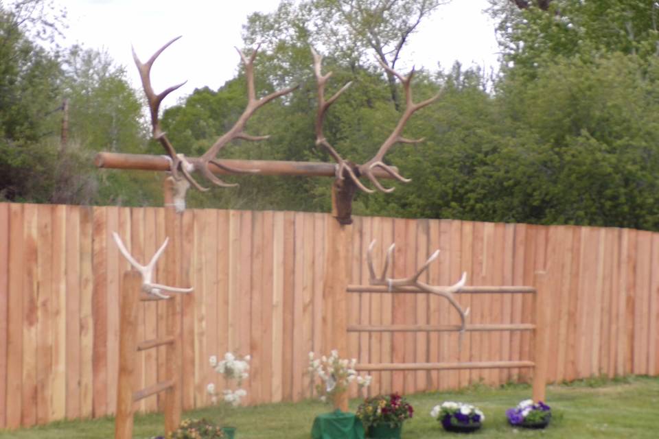 Wedding Arch