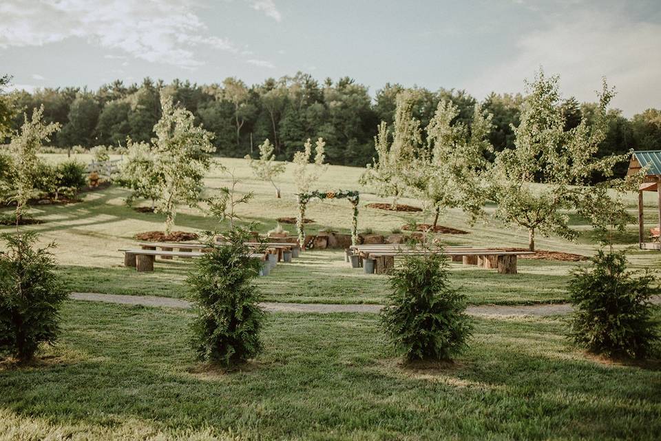 Orchard and pasture view