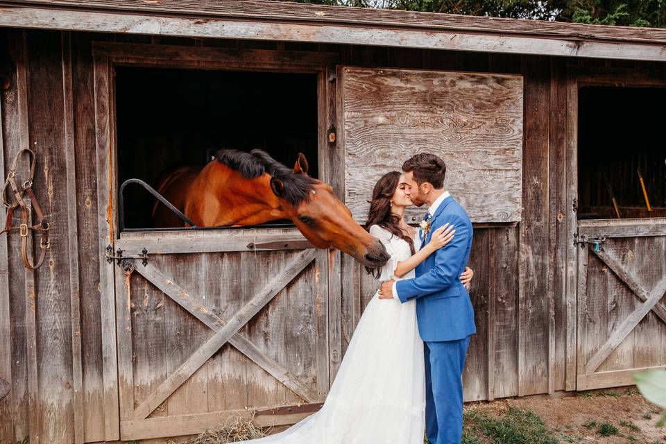 Cassidy Hill Farm wedding