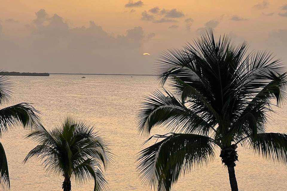 Enchanted Event Planning LLC