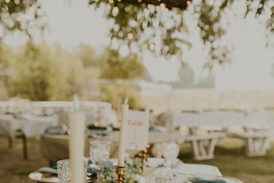 Reception - Renske