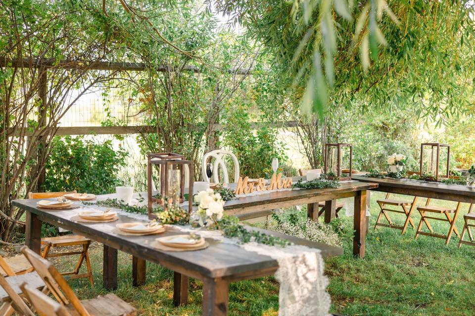 Reception under the Willow