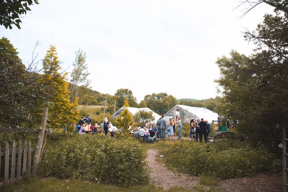 Blooming Hill Farm Wedding