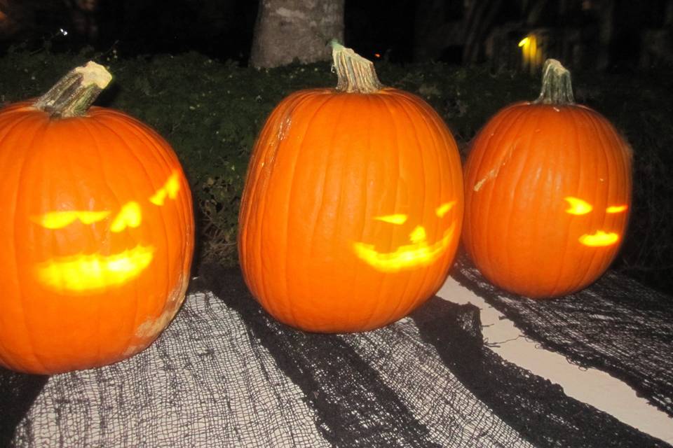 Halloween Wedding
