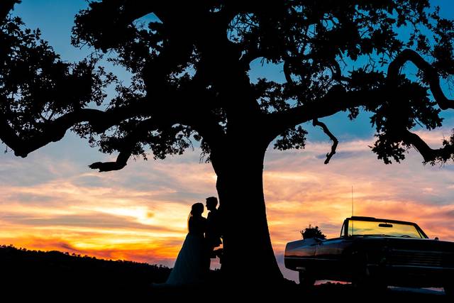 Sacramento Wedding Photograph