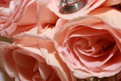 Gina Jones Photography