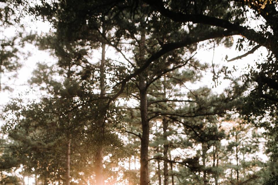 Texas Engagement session