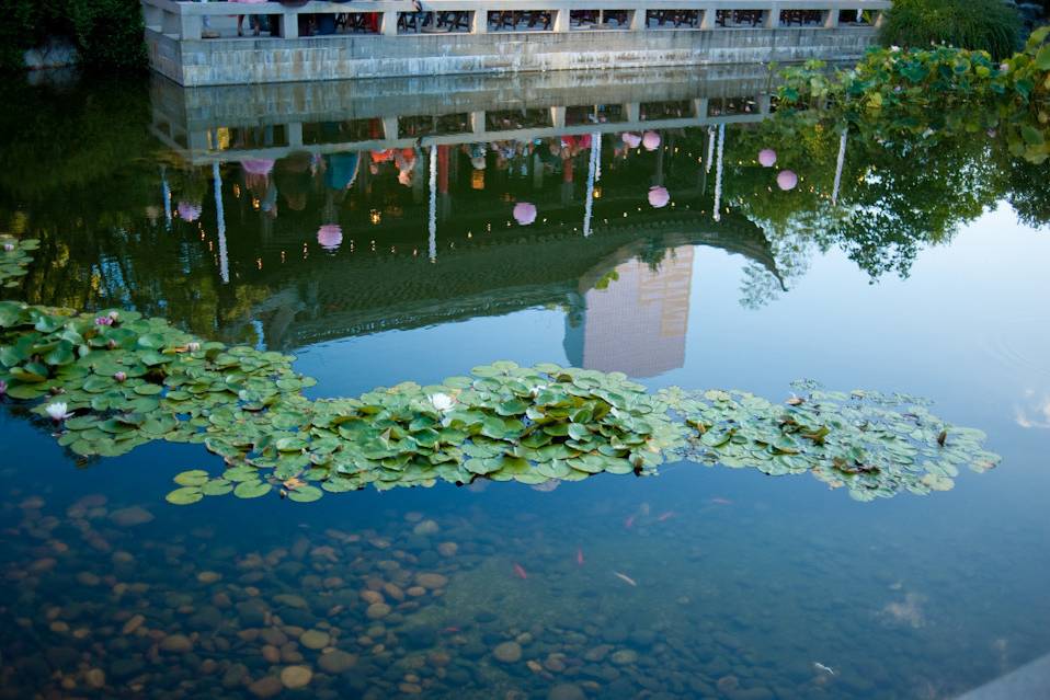 Lan Su Chinese Garden