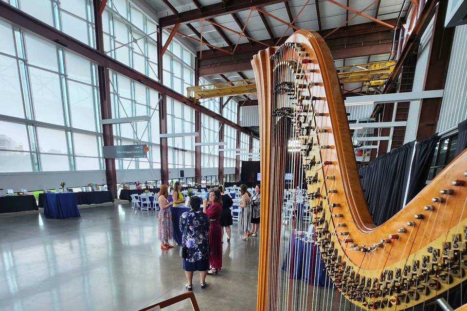 Harp, by Julie