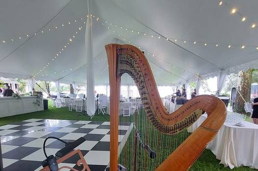 Harp, by Julie