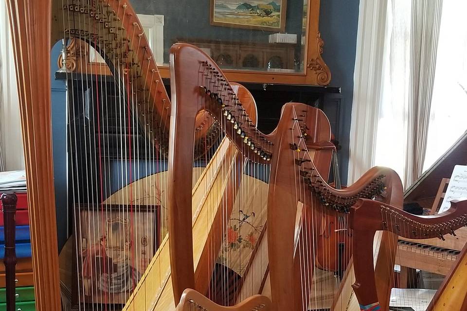 Harp collection
