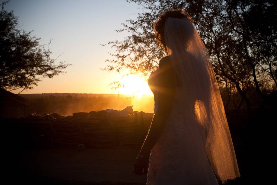 Sarah Trainor Photography
